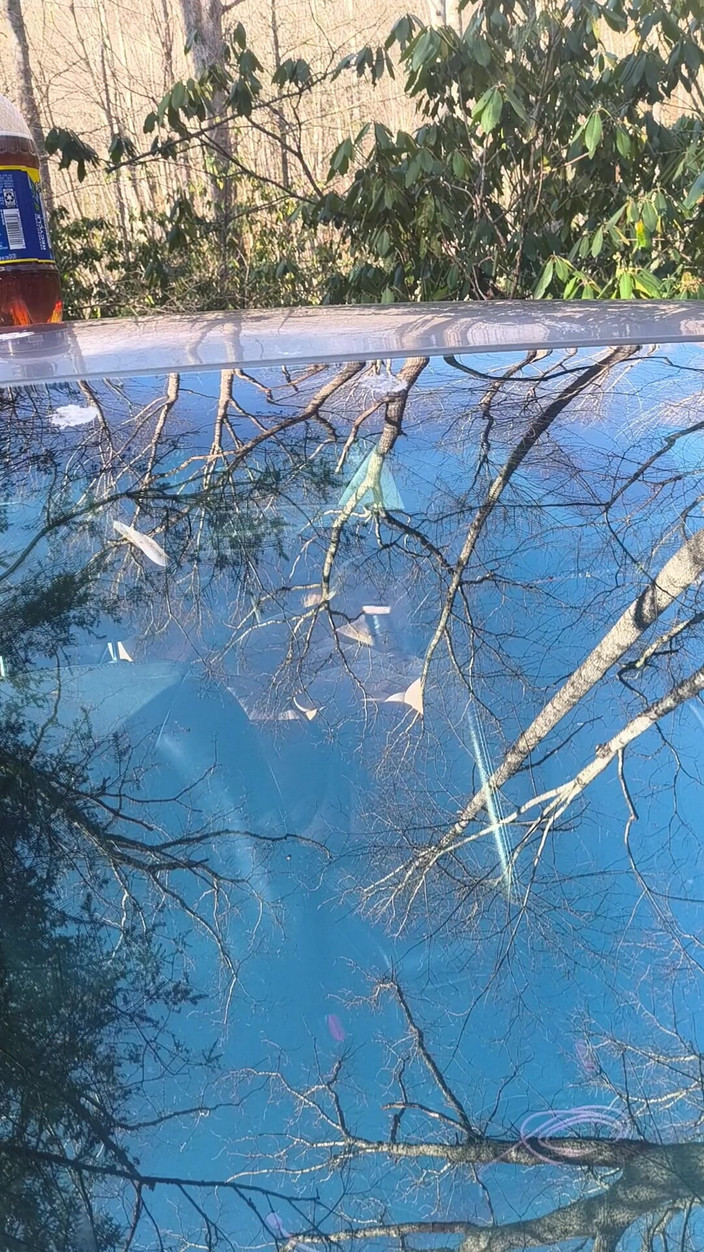 HerculesnVENUS: 그는 다시 낯선 사람의 장난 꾸러기 미소를보고있어