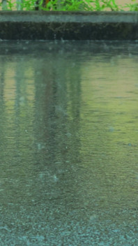 Barfuß Im Regen