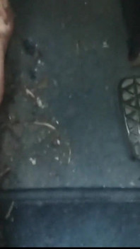 Pedal Pumping, Dirty Nylon in the Car