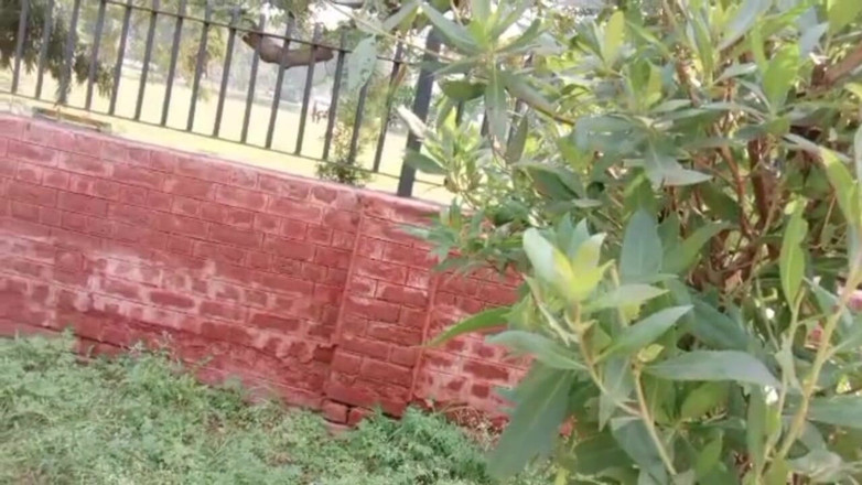 Desiboy gay: Hot Boy Sex Pakistani