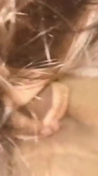 Desi Boy Friend and Girl Friend Sex Video