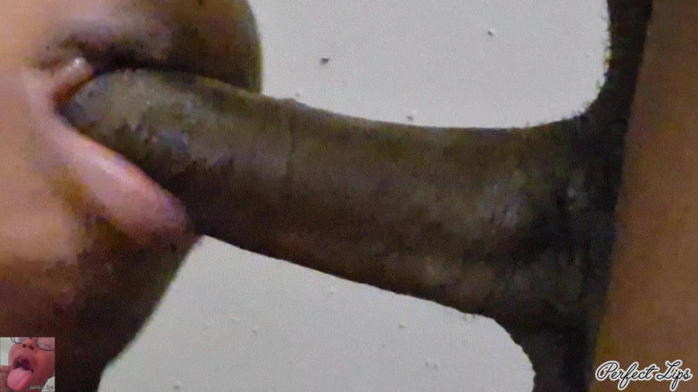 Wildwood21519: Aku suka bikin dia crot di mulutku