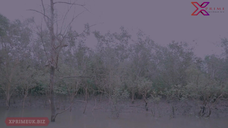 Creative Pervert: Sex în junglă cu mătușa sexy