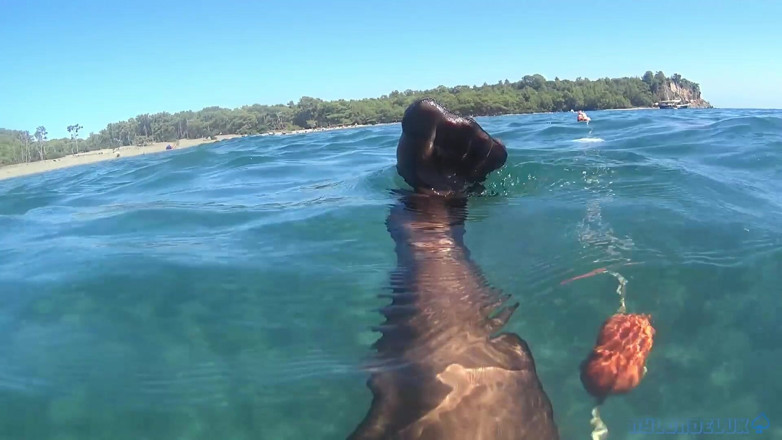 Nylondelux: Bas noirs dans la mer