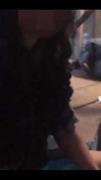 Sex în călătorie, călătorie cu My Honey în orașul mic