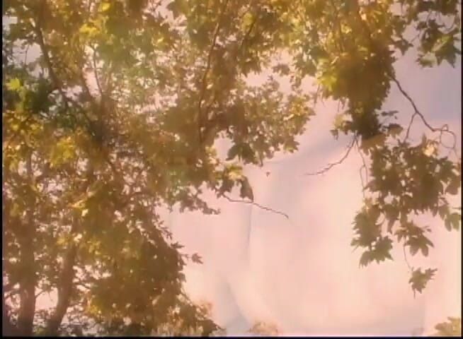 Perfect Porno: Elegant Babe Fucks With Naughty Boyfriend On Their Picnic