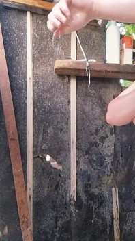 Камера В Душе С Горячей Сводной Сестрой - Вуайеристское Развлечение