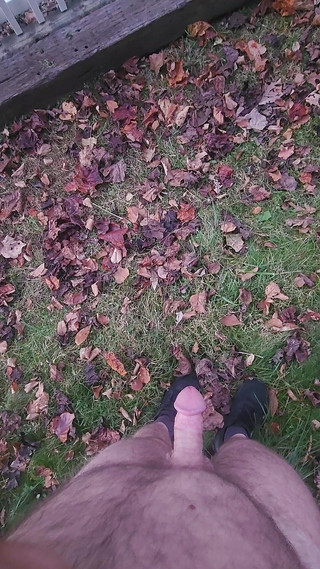 Djk31314: Kolem domu