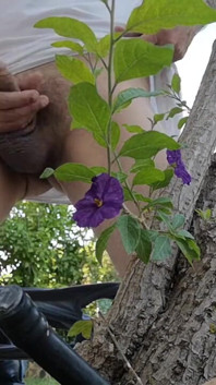 Watch Me Jerking off Outdoors While Hiding Behind a Tree