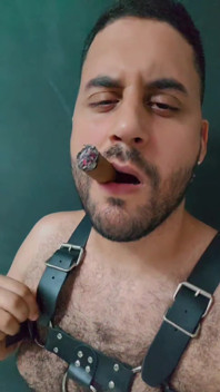 Mr Bear Cigarman Smoking