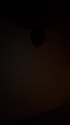 Asiat_94: 用面具吮吸直男