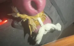 Cock Rough Blazing
