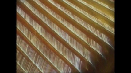 EroticPlanet XXX: Little Sluts 4 Big Cocks! (full Movie)