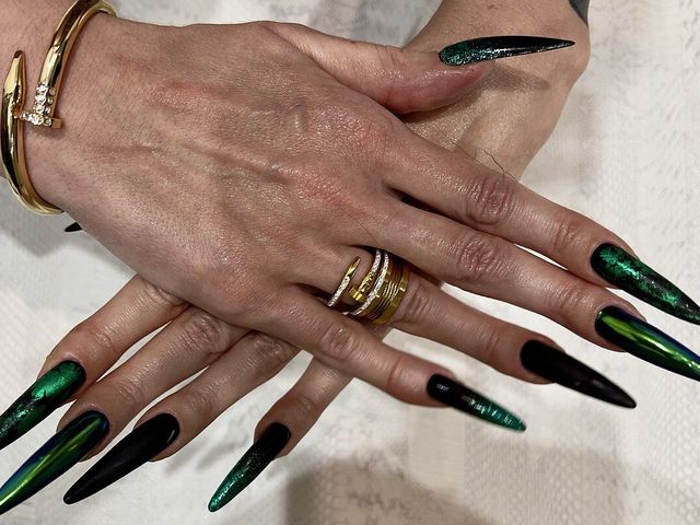 Long Fingers with Long Nails (Julia domaina)