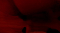 SweetChloe: 我的夜间计划 - 第2部分