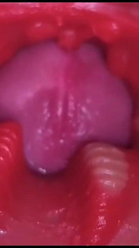 Best Compilation Crempie Pussy - Camera Inside 4K