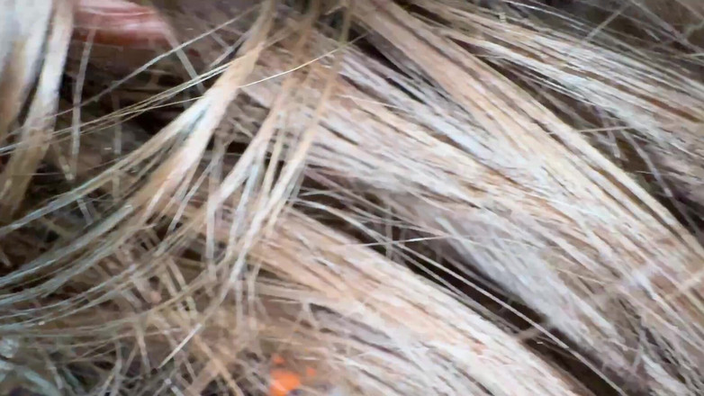 Gordo fuck: मेरी सौतेली बहन को जोर से चोदना वह आराम कर रही थी और मैंने उसे उठा लिया
