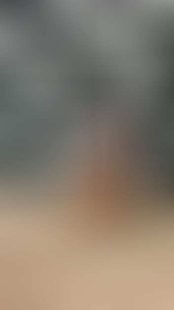 Locked due to age restriction