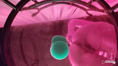 Kyla Keys: 底からの眺め