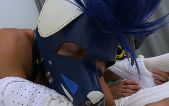 Project Y studios: Čekající dva submisi