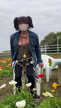 N° 195, j’expose ma chatte dans un champ de fleurs