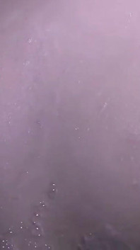 Asian Angel 25611