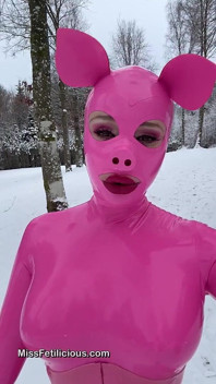 Cochon des neiges