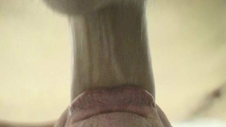Gaylicious: Sloppy Deepthroat Gagging on Throbbing Cock - Cum Leaking Face