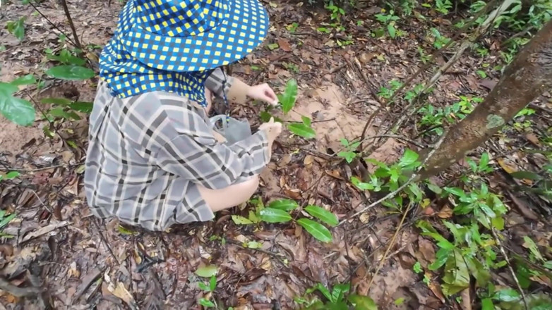 RealThaiSolo: Awek Thai berjalan dan bercakap dan mengambil cendawan di dalam...