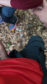 Lutschen und ficken im wald