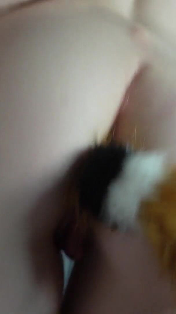 HotRedWildcat: Anal Onani Med Min Svans Rumpa