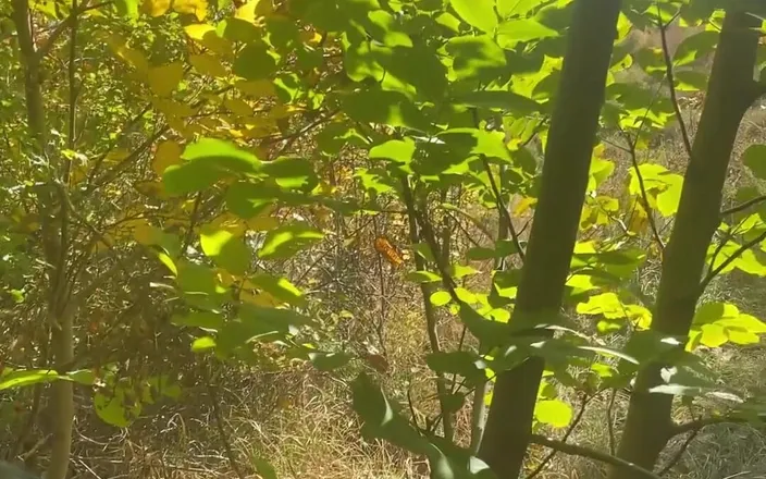 MilfyCalla: Milfycalla Compilation of Outdoor Fun, Sex in Nature Is Great...