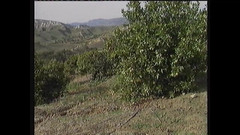 Full Movie XXX: Celou cestu
