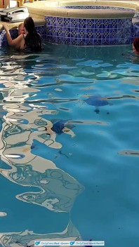 Cuckquean pOV - bBW cuckcake fickt meinen ehemann im schwimmbad, während ich unter wasser filme