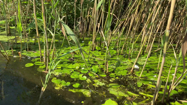 Boob_World: Stop Swimming and Fuck Me - Real Outdoor Sex 4K