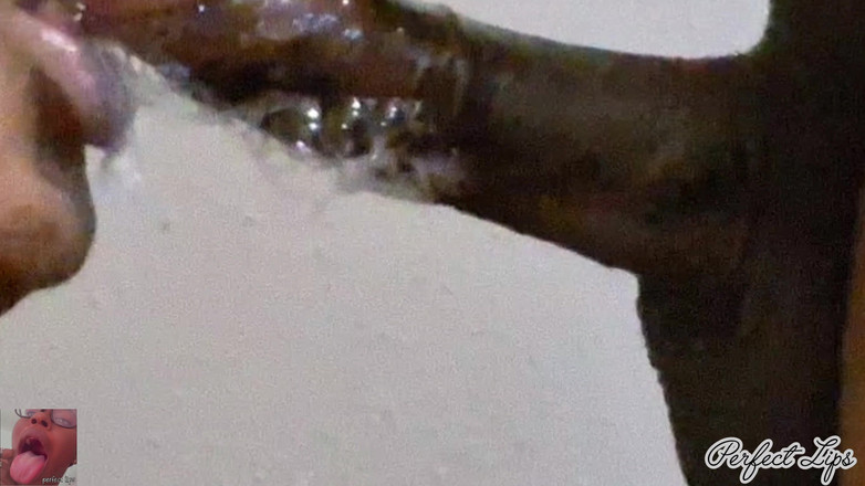 Pperfect lips: Soft Rts saje ptáka Super Nedbalý