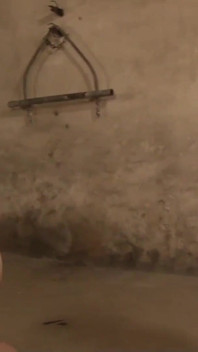 Gioco con le palle duro
