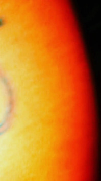 Uwielbiam sexlovered