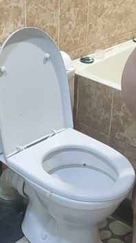Peeing on the Toilet - Wet Pussy Play