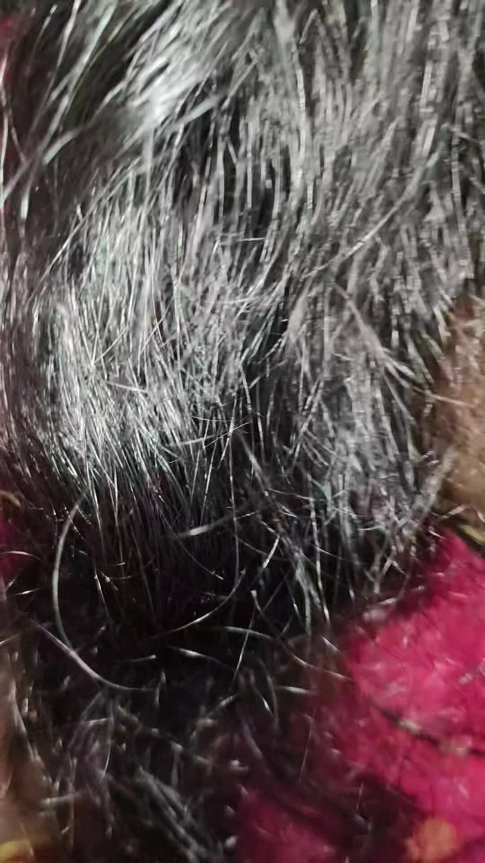 X videos: Kakak ngentot saudara tiri di dapur