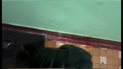 KinkySirius: Пригоди Кінкісіріуса! Підбір Золотого дощу