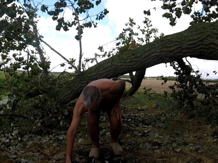 Andy: Yürüyüş 45 2025