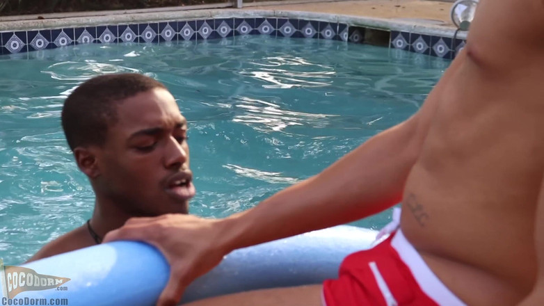 CocoDorm: Calvin collins + pupcore - scopami in piscina
