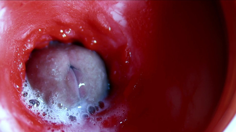 SEXY_GUYBEST: Bardzo blisko ogromne strumienie spermy w Sweet Hole Asmr Wet...