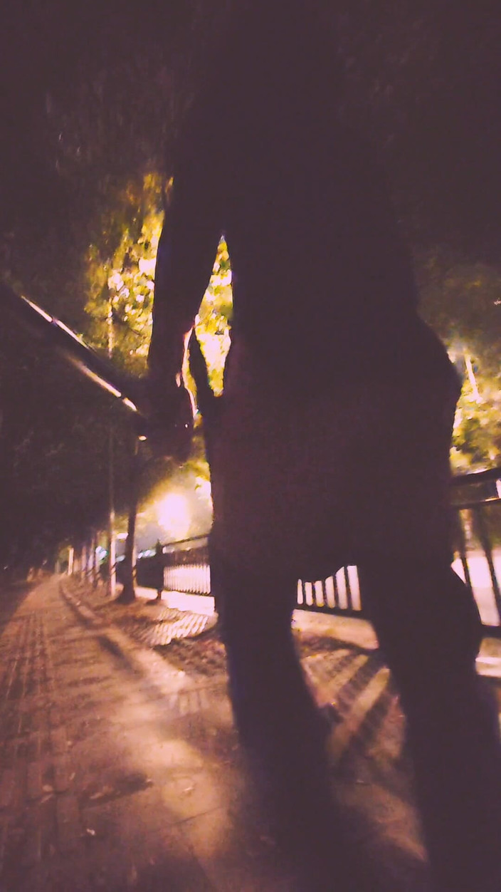 cd_vv: 大屁股伪娘vivi户外露出part 9