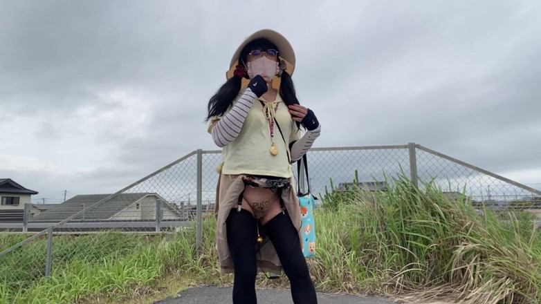 megu2002: No. 265 Flashing Along a Toll Road