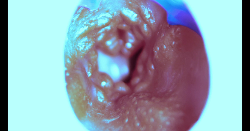 SEXY_GUYBEST: Comment je baise de l’intérieur ! Caméra à l’intérieur !