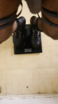 Weighing Your Black Fit Pony