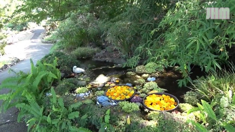 Japanese Hentai Matings: Resort Melarikan diri dengan Rin, seorang wanita berkahwin berusia 32 tahun - 1