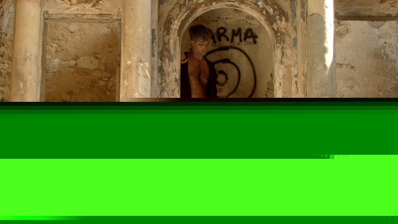 Magia Rosa: Что делать, если в лесу найдется что-то вроде этого?